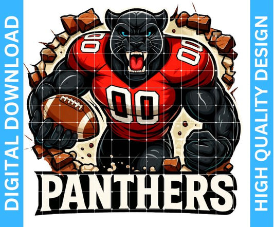 Panthers Football PNG – High Quality Sublimation & DTF/DTG Digital Download | Transparent Background